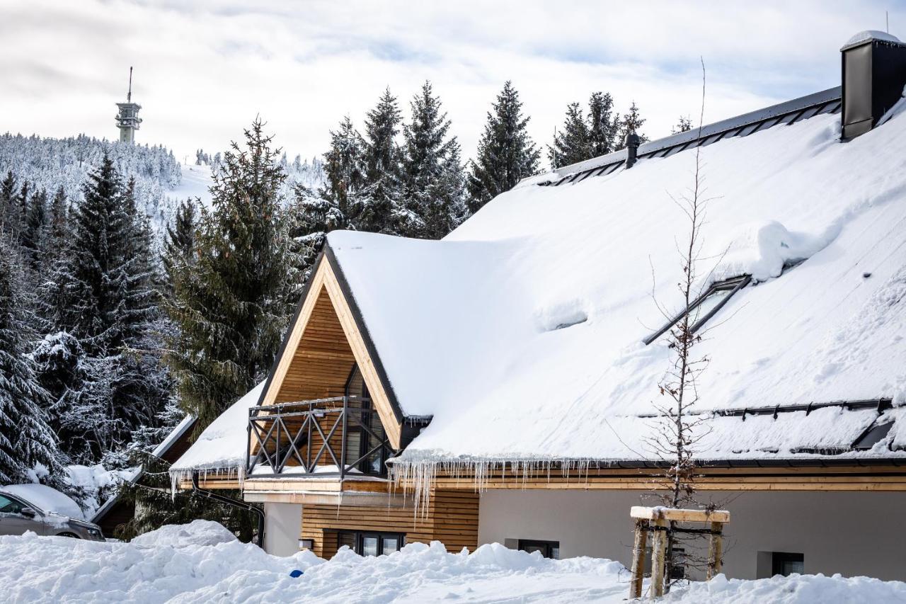 Ski Chalet Klinovec Loučná pod Klínovcem Εξωτερικό φωτογραφία