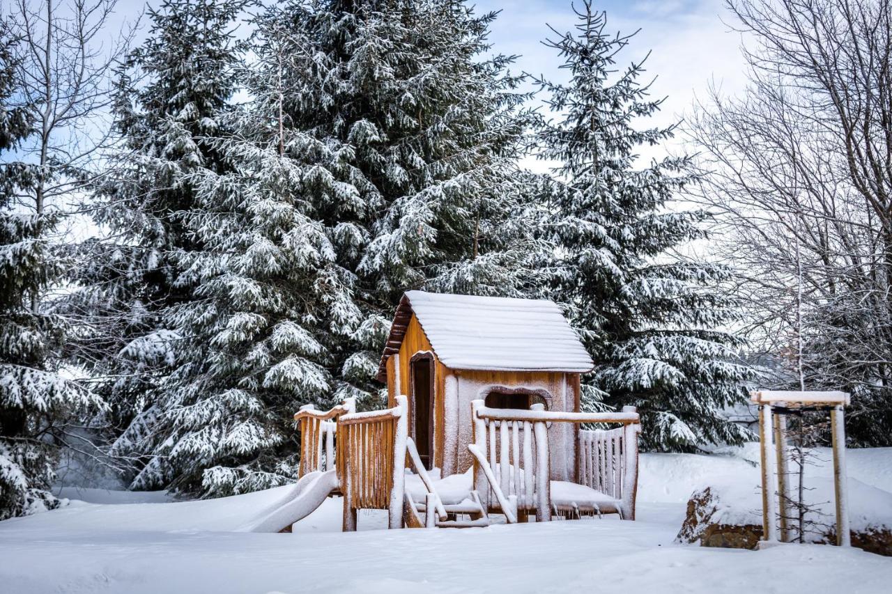 Ski Chalet Klinovec Loučná pod Klínovcem Εξωτερικό φωτογραφία