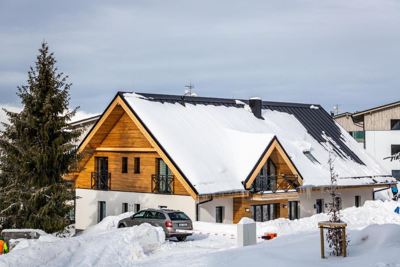 Ski Chalet Klinovec Loučná pod Klínovcem Εξωτερικό φωτογραφία