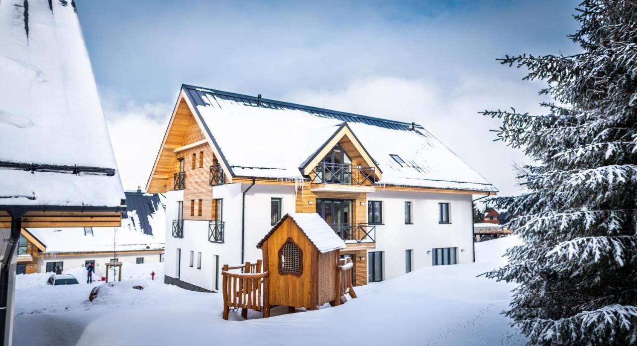 Ski Chalet Klinovec Loučná pod Klínovcem Εξωτερικό φωτογραφία