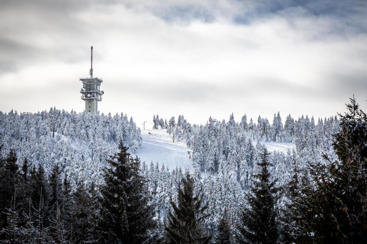 Ski Chalet Klinovec Loučná pod Klínovcem Εξωτερικό φωτογραφία