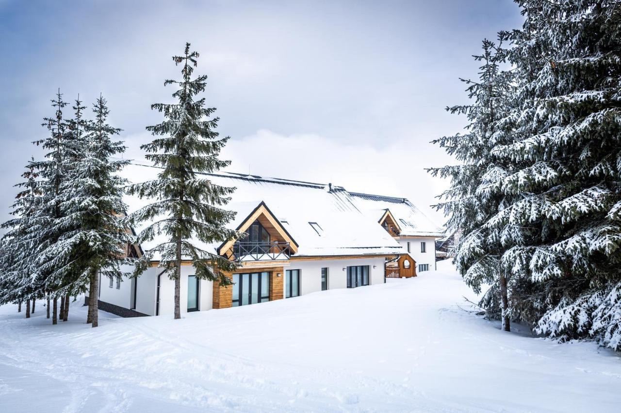 Ski Chalet Klinovec Loučná pod Klínovcem Εξωτερικό φωτογραφία