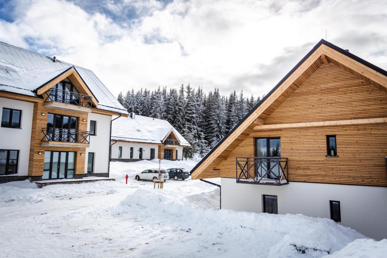 Ski Chalet Klinovec Loučná pod Klínovcem Εξωτερικό φωτογραφία