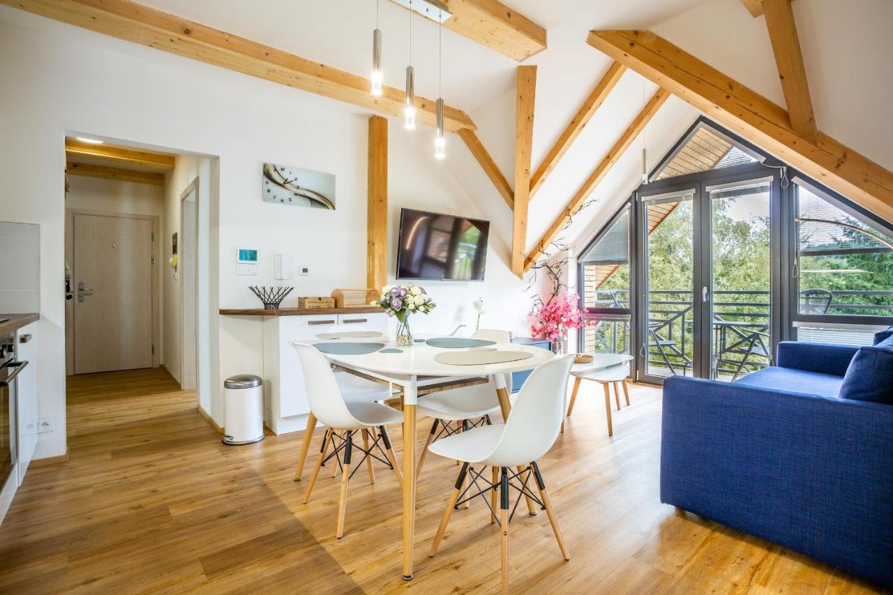 Ski Chalet Klinovec Loučná pod Klínovcem Εξωτερικό φωτογραφία