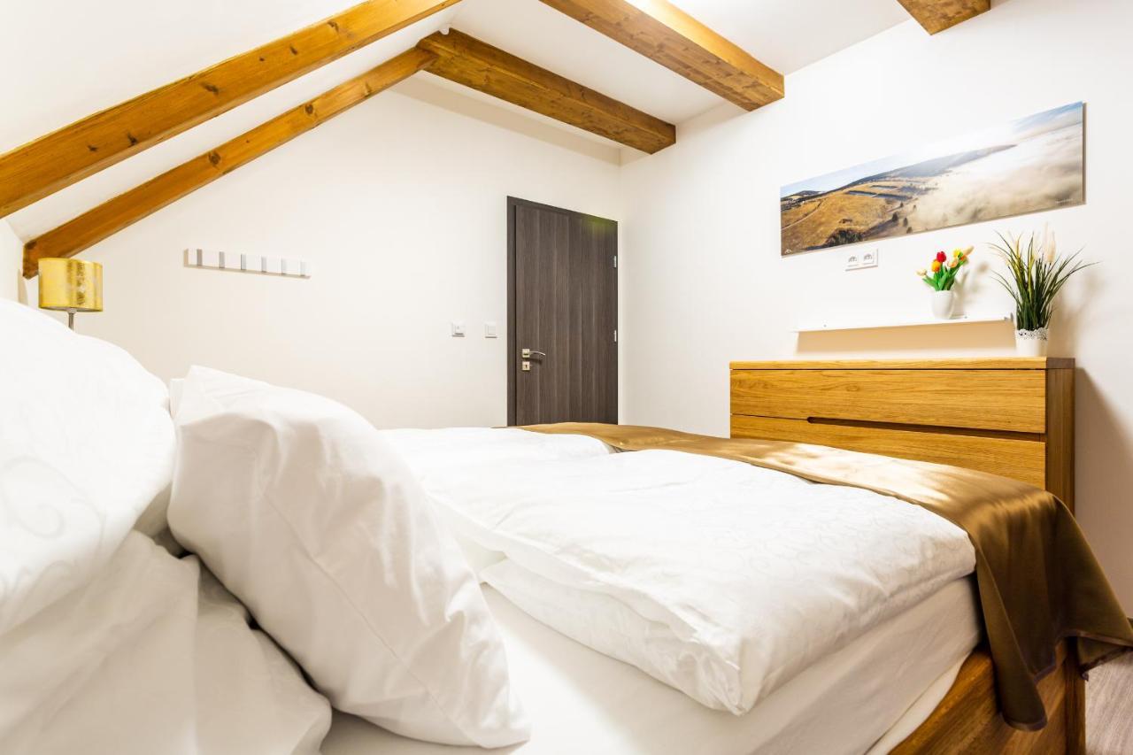 Ski Chalet Klinovec Loučná pod Klínovcem Εξωτερικό φωτογραφία